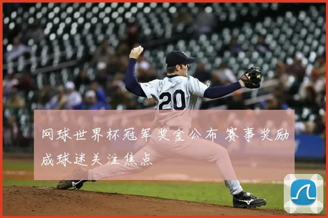 网球世界杯冠军奖金公布 赛事奖励成球迷关注焦点