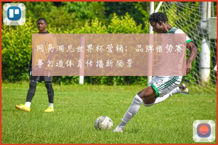 网易洞见世界杯营销:品牌借势赛事打造体育传播新场景